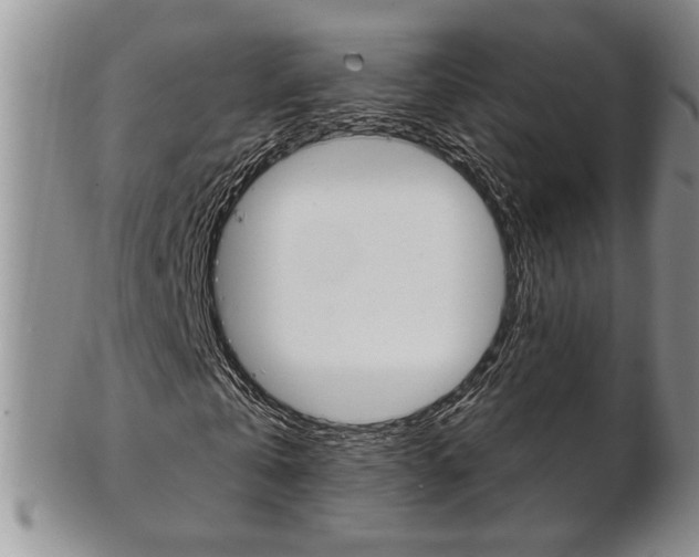 X0000103170769200808221127