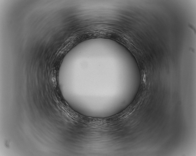 X0000103170771200808221127