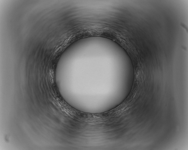 X0000103170772200808221127