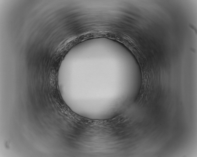 X0000103170773200808221127