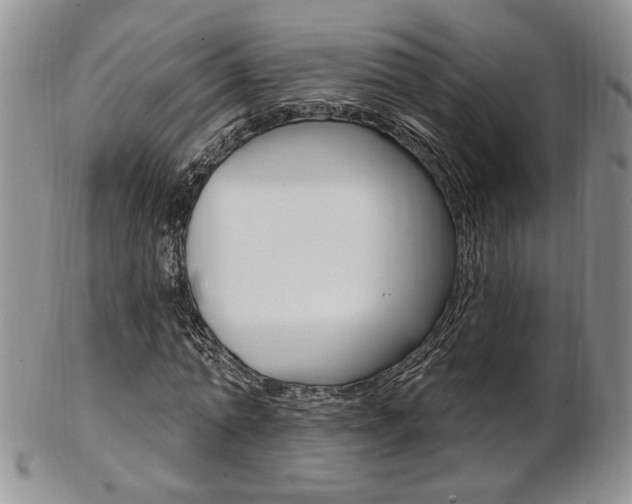 X0000103170774200808221127
