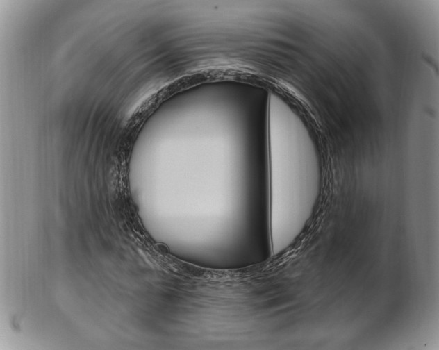 X0000103170775200808221127