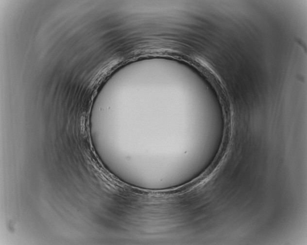 X0000103170777200808221127