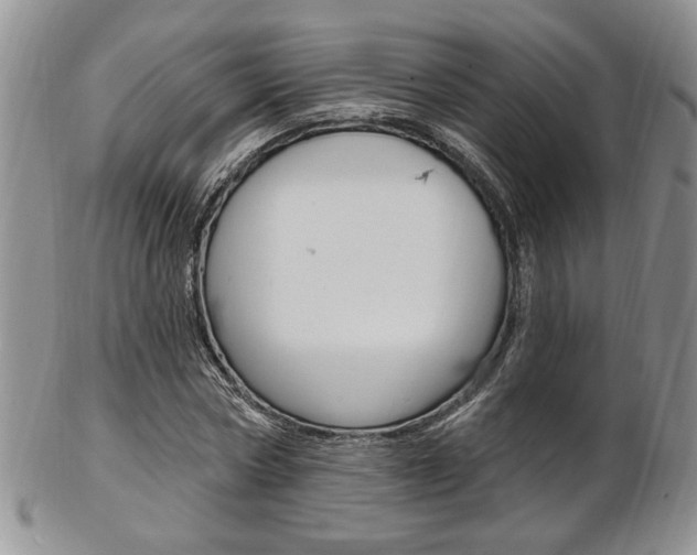 X0000103170778200808221127