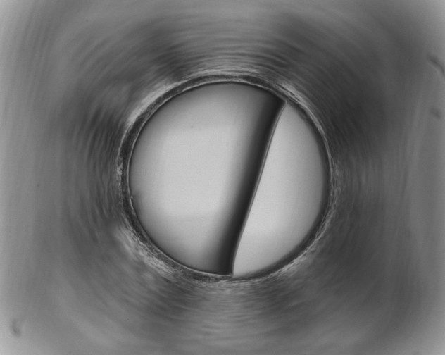 X0000103170779200808221127