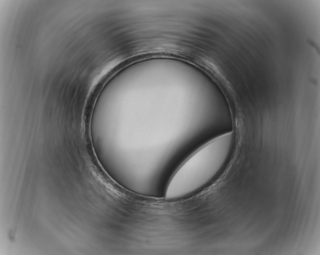 X0000103170780200808221127