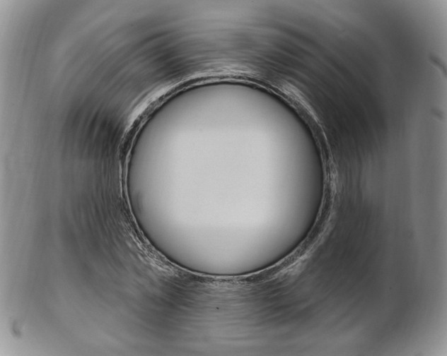 X0000103170781200808221127