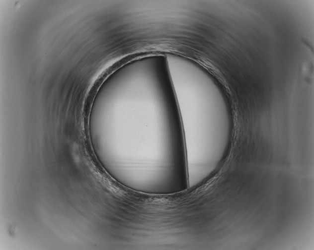 X0000103170784200808221127