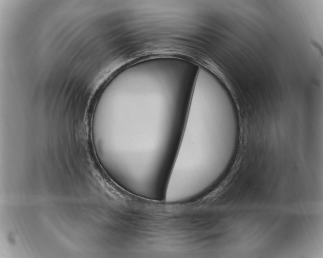 X0000103170787200808221127
