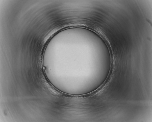X0000103170789200808221127