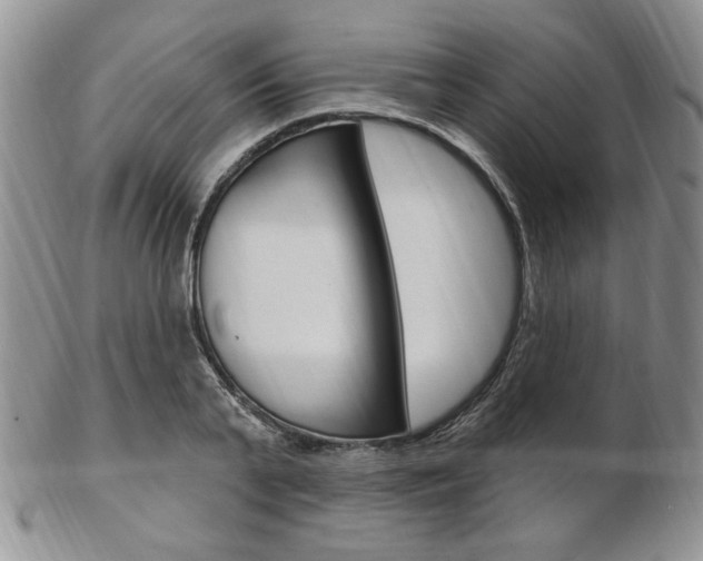 X0000103170791200808221127