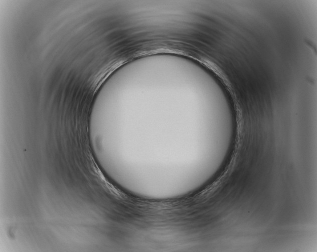 X0000103170793200808221127
