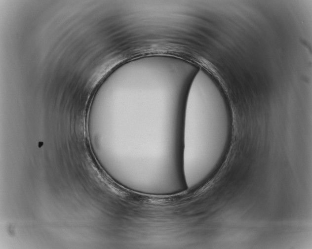 X0000103170794200808221127