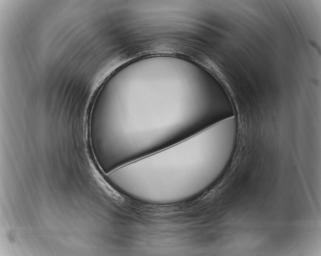 X0000103170795200808221127