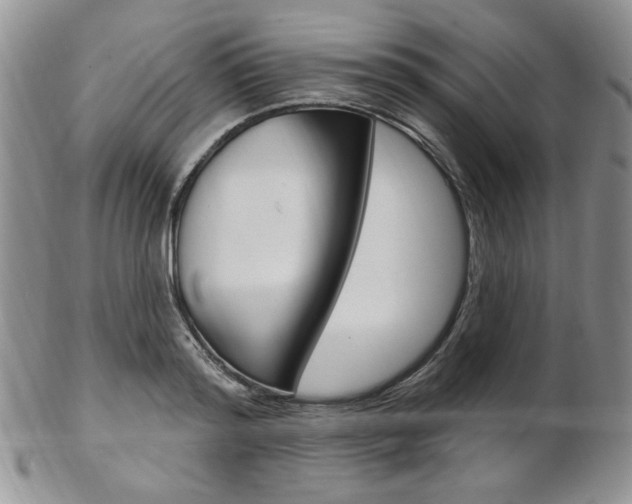 X0000103170796200808221127
