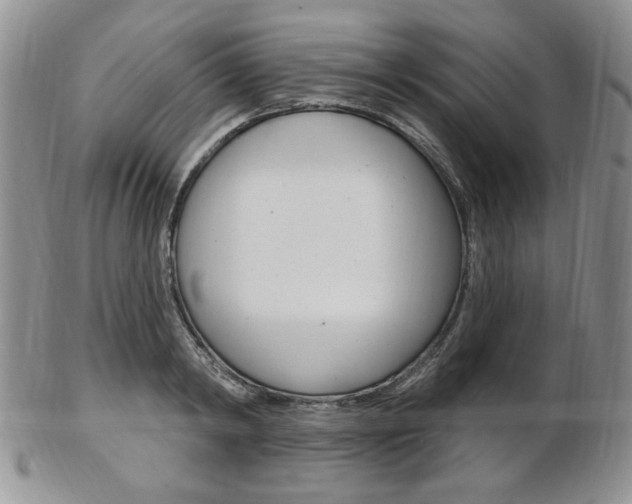 X0000103170798200808221127
