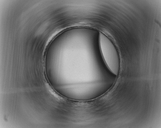 X0000103170800200808221127