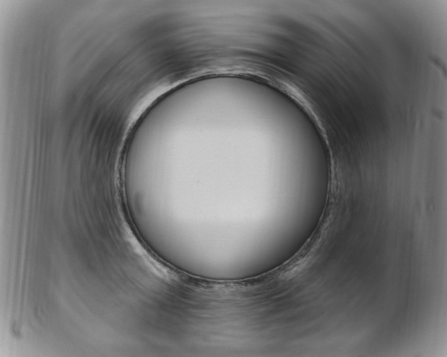 X0000103170803200808221127