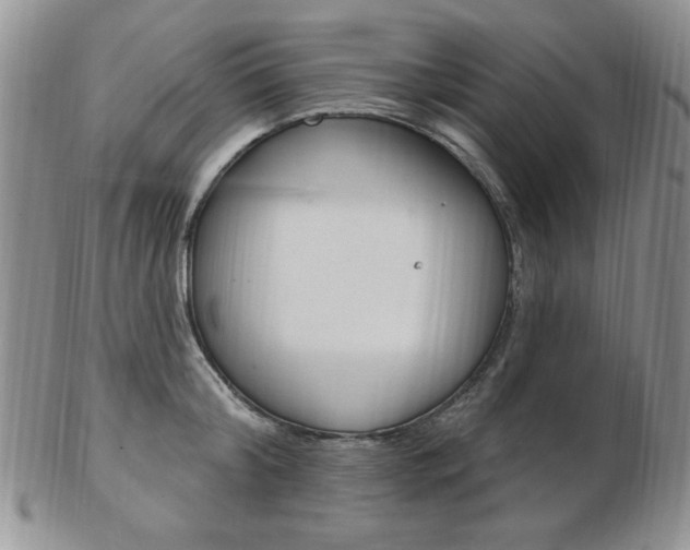 X0000103170804200808221127