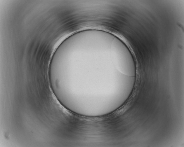 X0000103170807200808221127