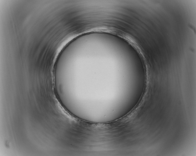 X0000103170808200808221127