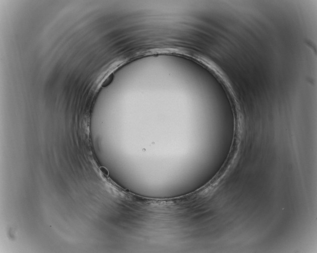 X0000103170809200808221127