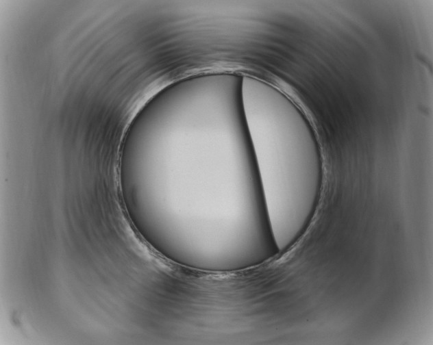 X0000103170810200808221127