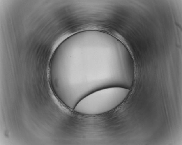 X0000103170811200808221127