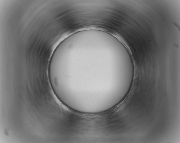 X0000103170813200808221127