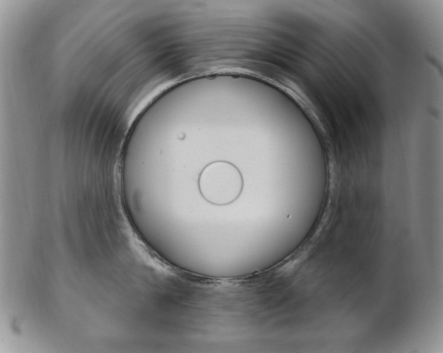 X0000103170814200808221127