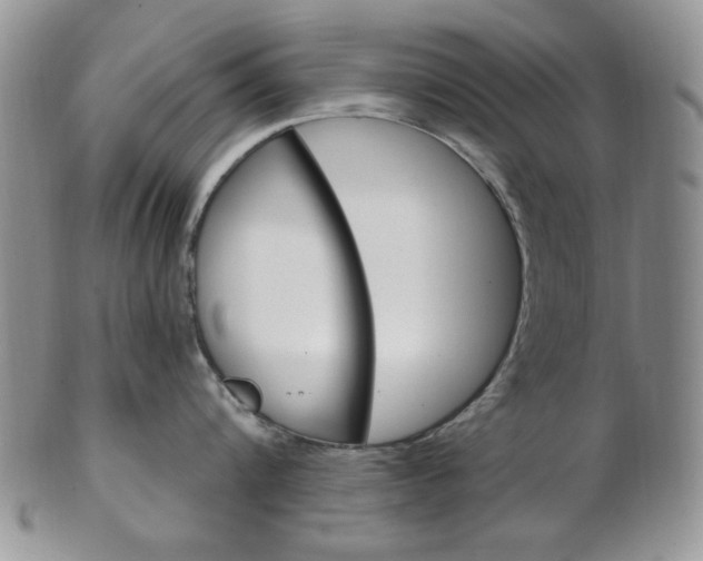 X0000103170816200808221127