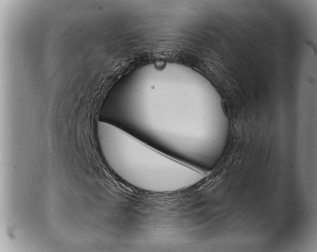 X0000103170817200808221126