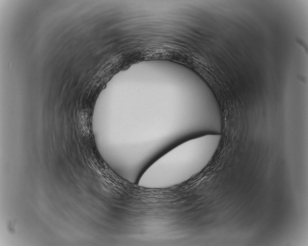 X0000103170819200808221126