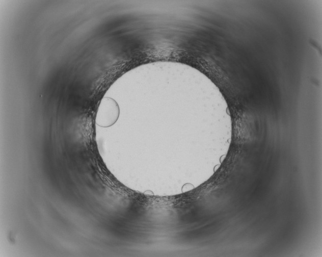 X0000103170820200808221126