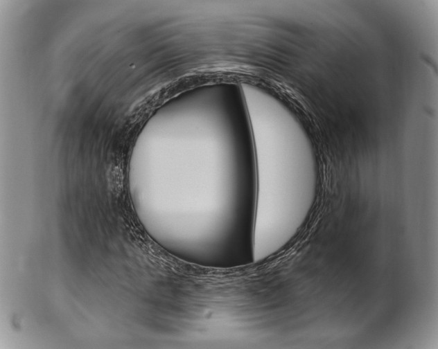 X0000103170821200808221126