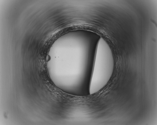 X0000103170822200808221126