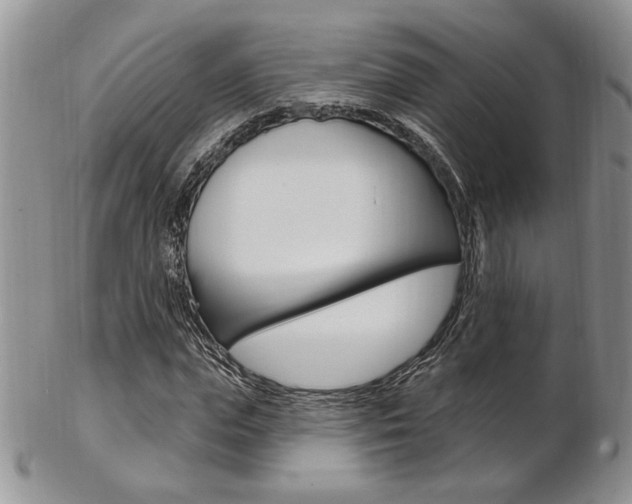 X0000103170823200808221126