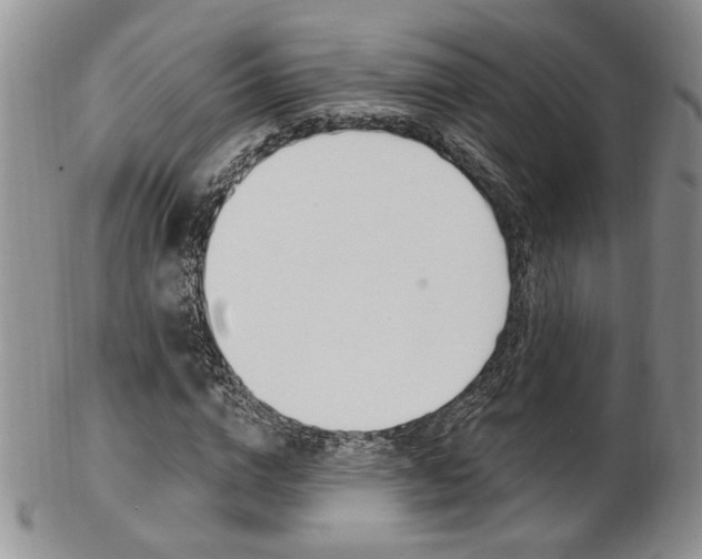 X0000103170824200808221126