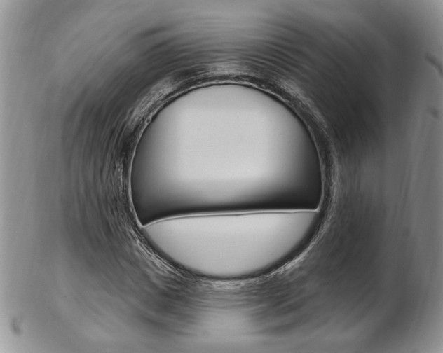X0000103170825200808221126