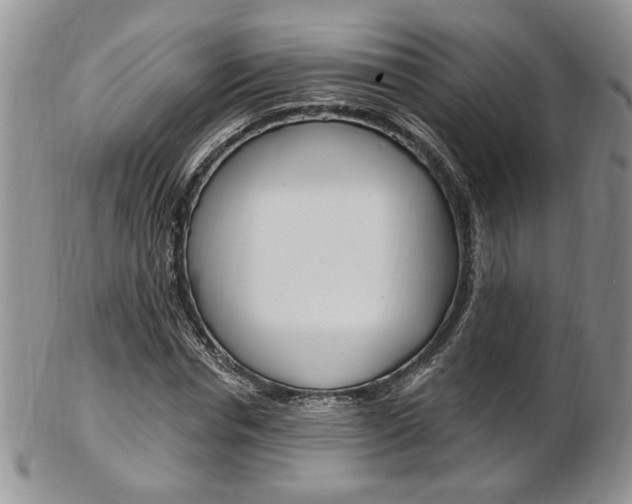 X0000103170826200808221126