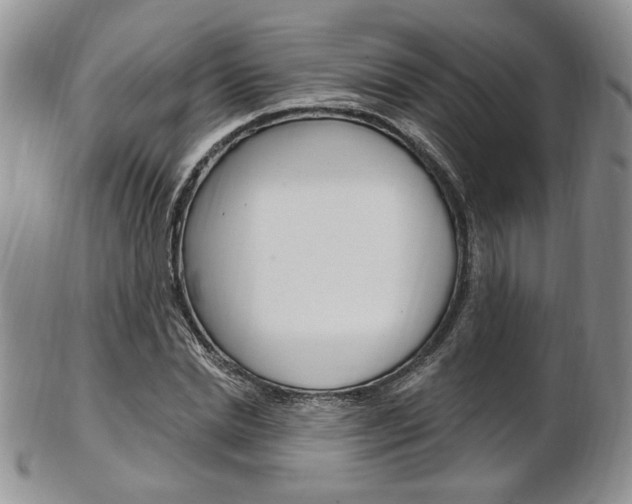 X0000103170830200808221126