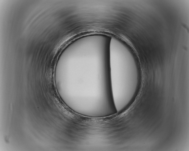 X0000103170831200808221126
