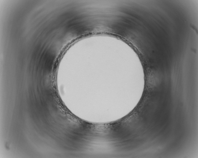 X0000103170832200808221126
