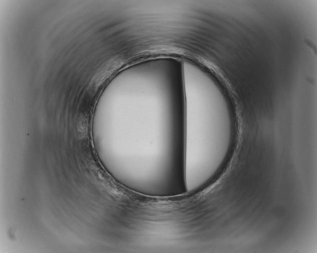 X0000103170833200808221126