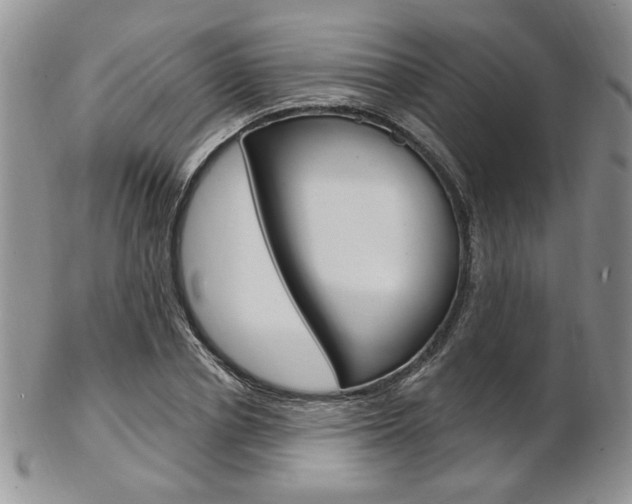 X0000103170834200808221126