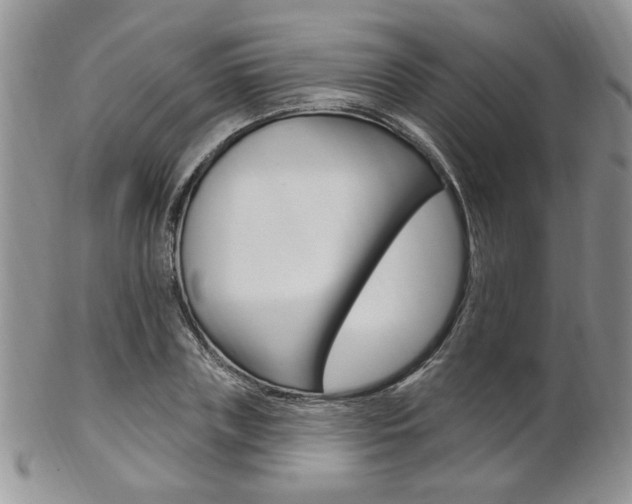 X0000103170835200808221126