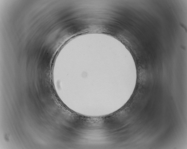 X0000103170836200808221126