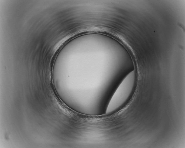 X0000103170837200808221126