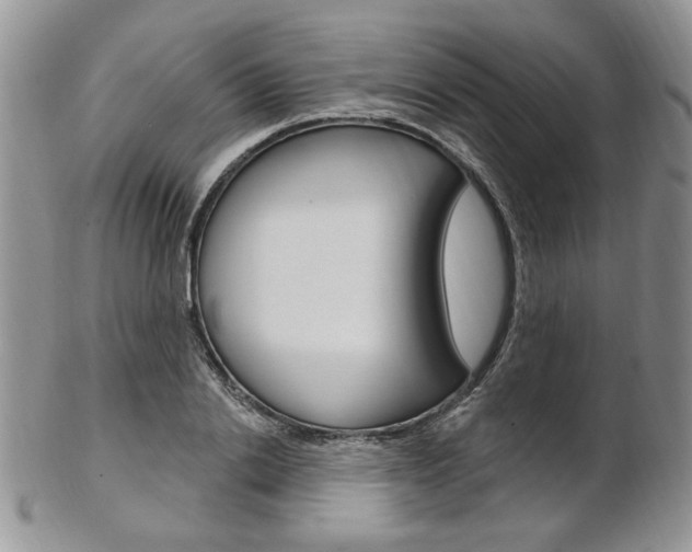 X0000103170838200808221126