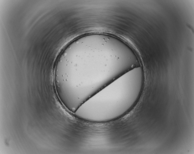 X0000103170839200808221126
